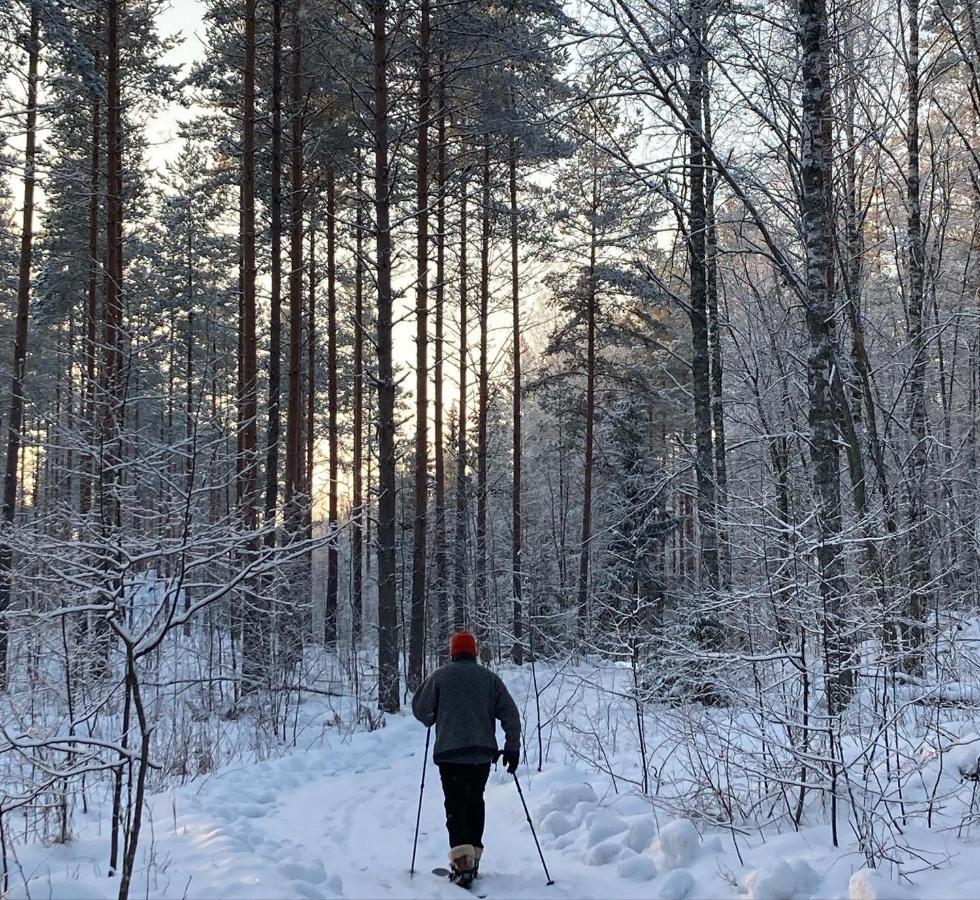 Linkkumylly Cottages Mäntyharju Buitenkant foto