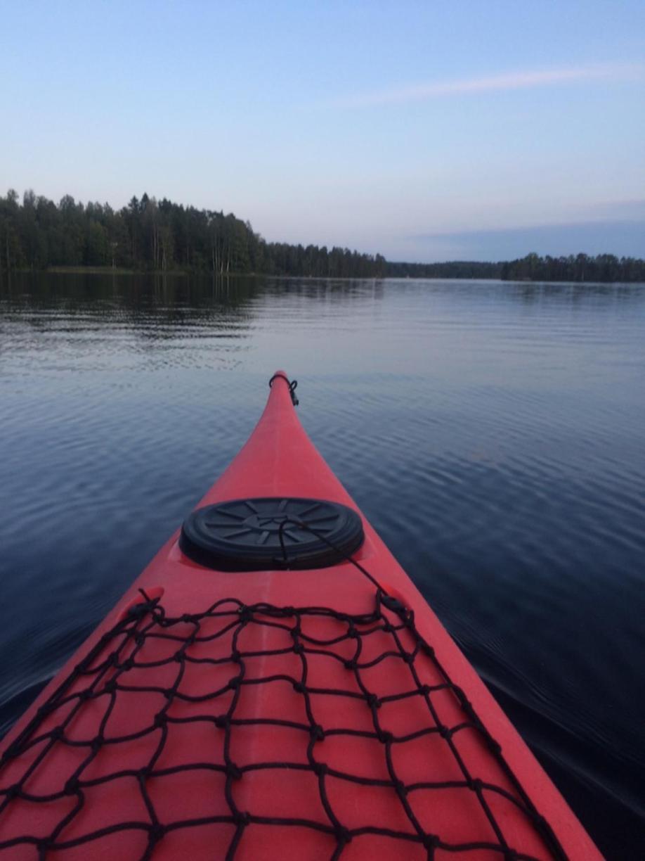 Linkkumylly Cottages Mäntyharju Buitenkant foto
