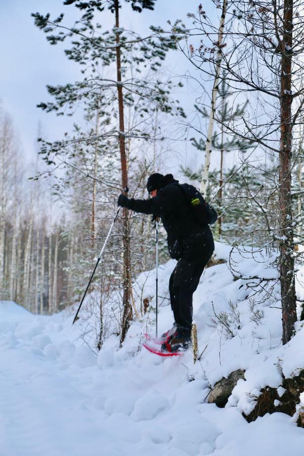 Linkkumylly Cottages Mäntyharju Buitenkant foto